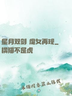 星月双剑 魔女再现